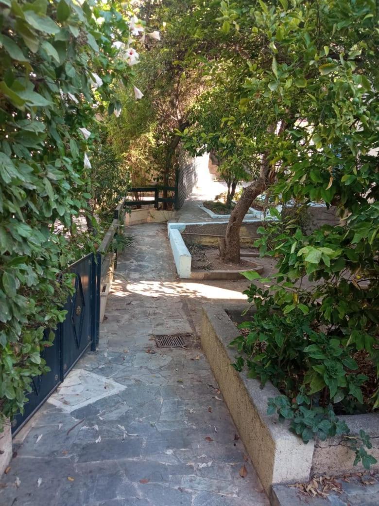 Utopia Suites 3 Aegina Exteriör bild